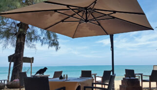 Thailand Baankhaolak Resort Restaurant Photo by Sebastian Motsch