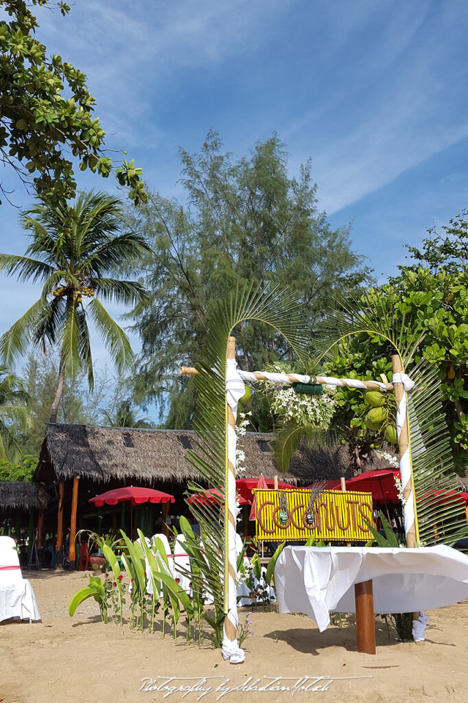 Thailand Khao Lak Coconuts by Sebastian Motsch