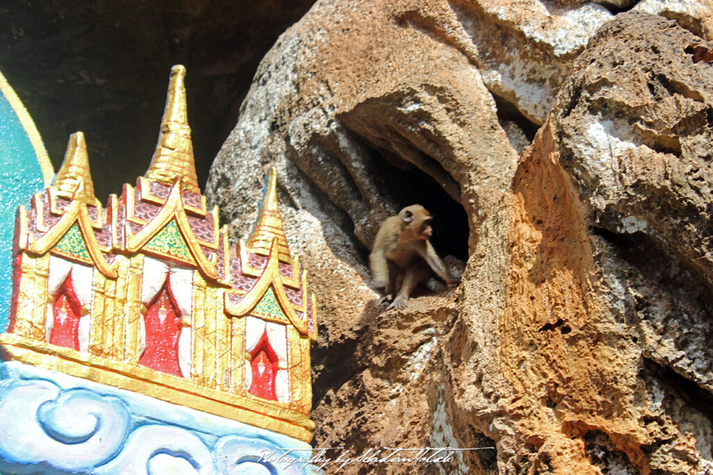 Wat Suwan Khuha Cave Monkey Photo by Sebastian Motsch