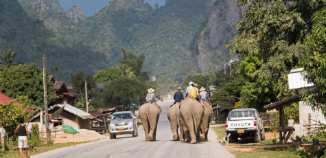 Elephant Convoy in a Town on Road 13 Laos Drive-by Snapshot by Sebastian Motsch