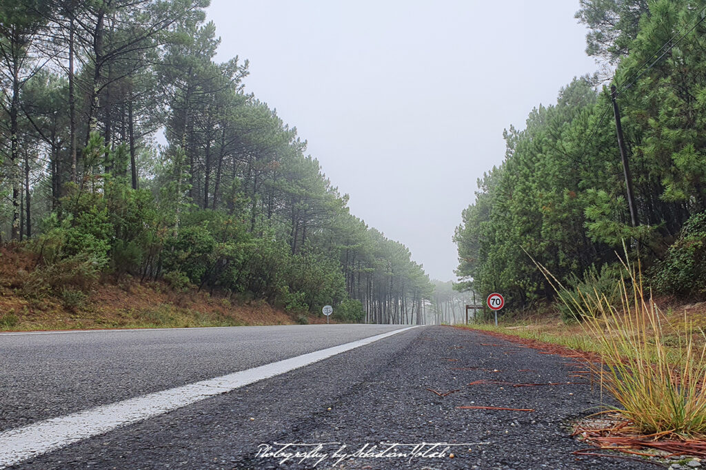 Early Morning Road Cap Homy France by Sebastian Motsch