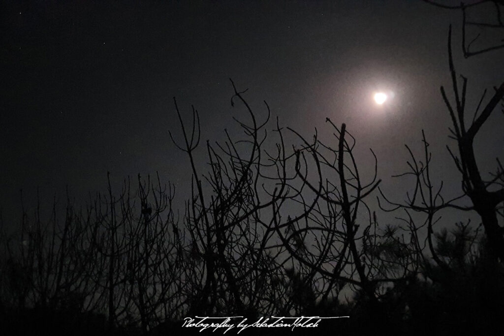 Full Moon at Cap Homy Plage France by Sebastian Motsch