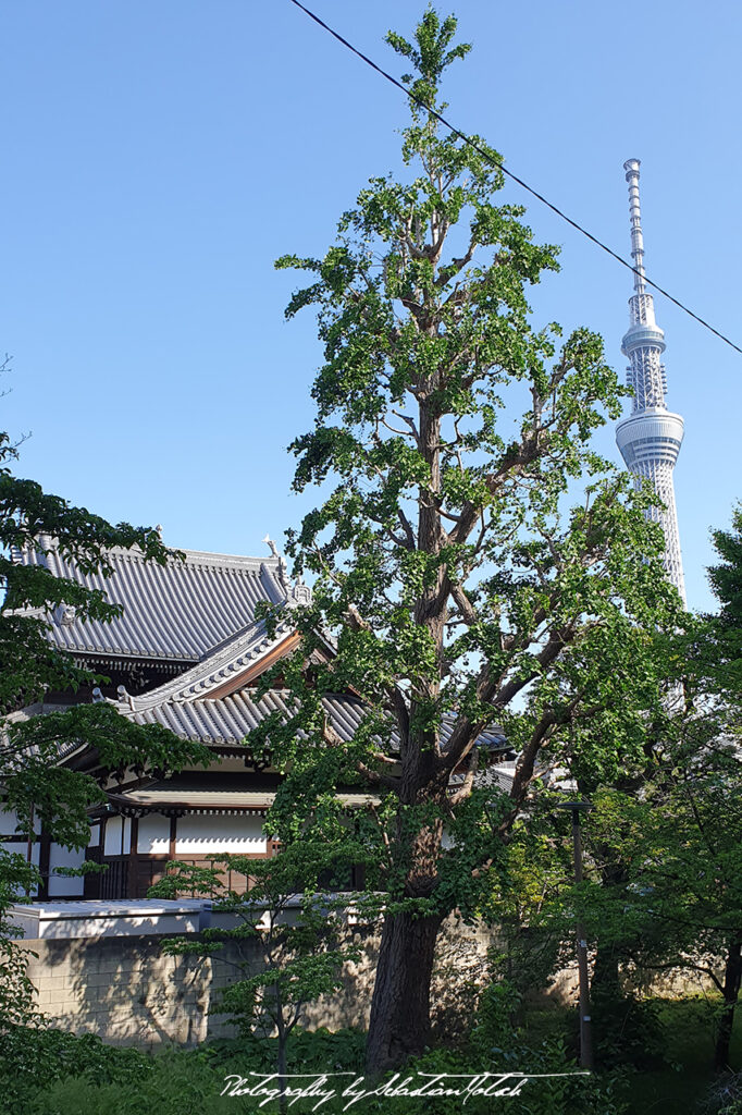 Tokyo Sumida City Photo by Sebastian Motsch