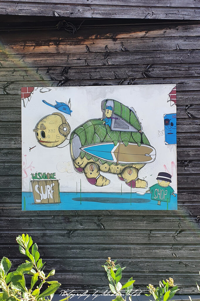 Surfing Turtle Street Art in Vieux-Boucau France by Sebastian Motsch