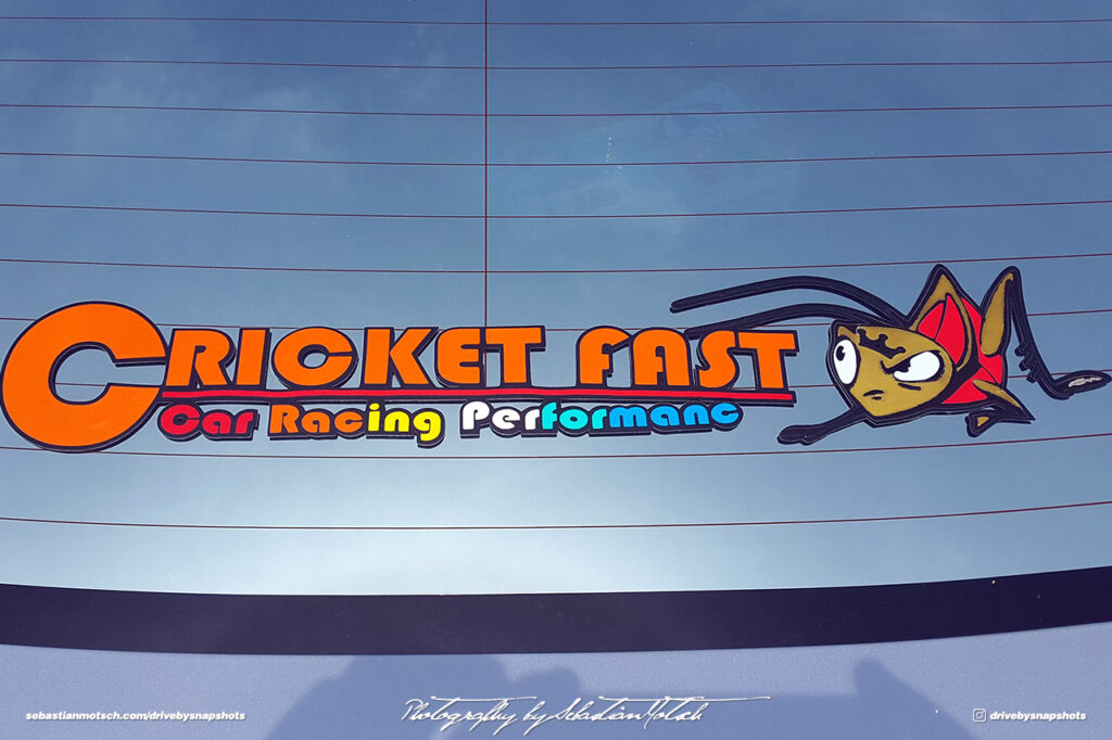 Cricket Fast Sticker Drive-by Snapshots by Sebastian Motsch