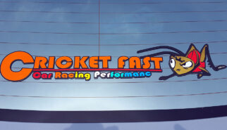 Cricket Fast Sticker Drive-by Snapshots by Sebastian Motsch