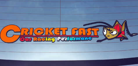 Cricket Fast Sticker Drive-by Snapshots by Sebastian Motsch