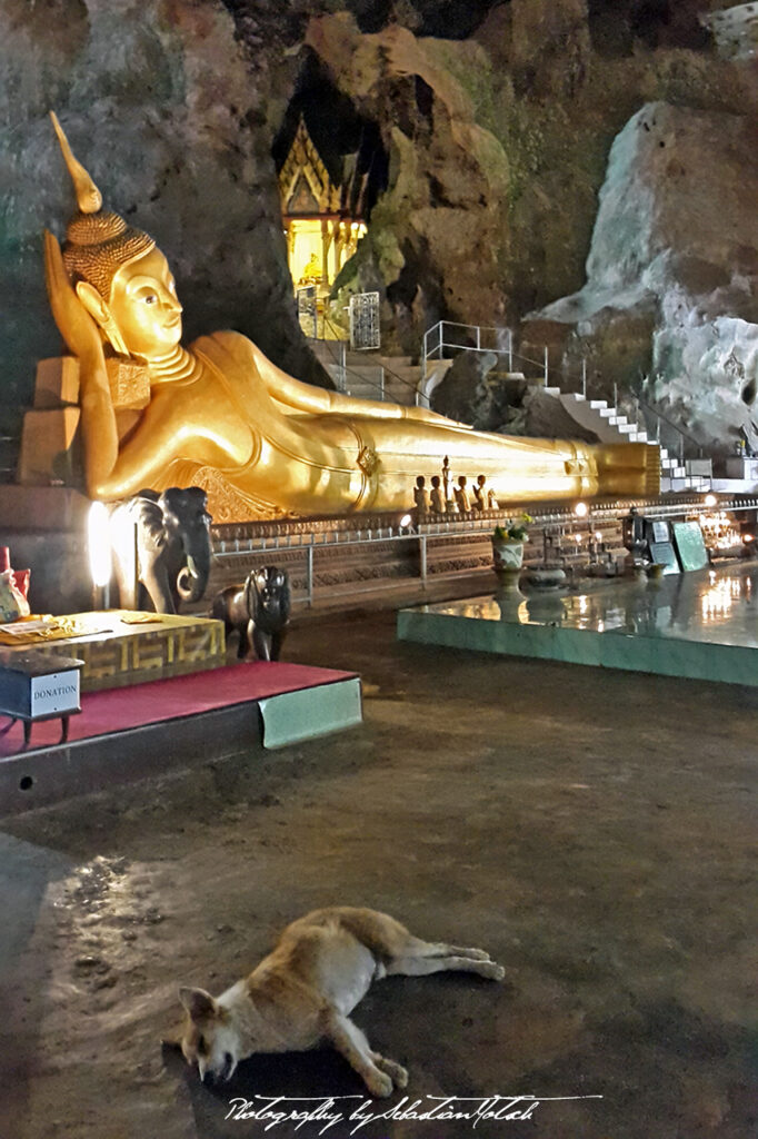 Thailand Sleeping Bhudda and Dog Photo by Sebastian Motsch